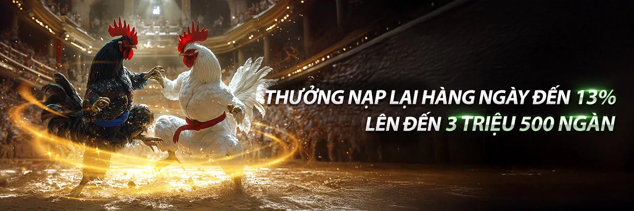 Sân vận động thể thao sôi động tại 88kim nhà cái